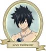 Gray Fullbuster