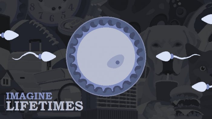 Imagine Lifetimes - Early Edition v1.1.1