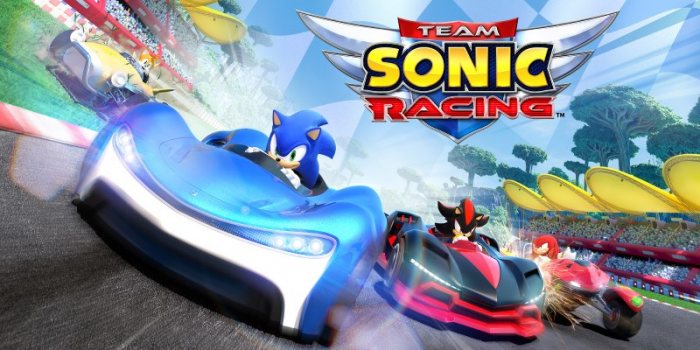 Team sonic racing не запускается на windows 10