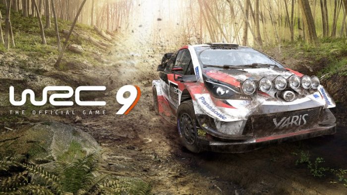 WRC 9 FIA World Rally Championship v1.0u4