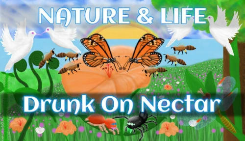 Nature And Life - Drunk On Nectar