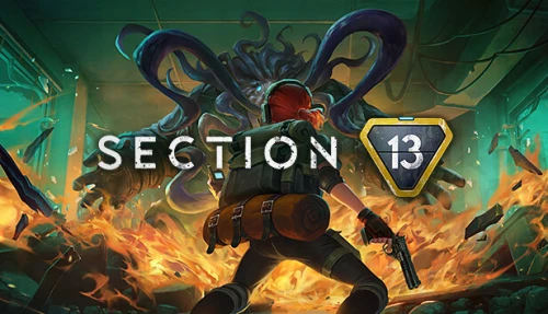 Section 13