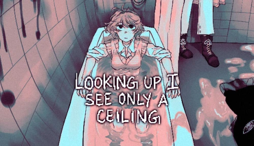 Looking Up I See Only A Ceiling