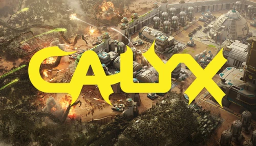 Calyx